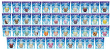 Load image into Gallery viewer, Freeze Dried Ice Cream Bundle (1oz Bags)