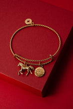 Load image into Gallery viewer, Horse Girl Rope Textured Charm Bangle