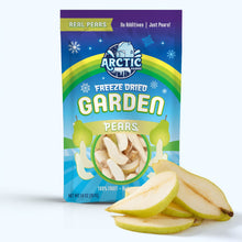 Load image into Gallery viewer, Freeze Dried Organic Bartlett Pears