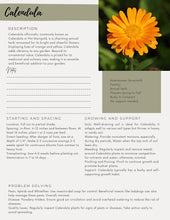 Load image into Gallery viewer, A Beginner Guide to Growing a Medicinal Garden (E-Book)