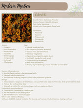 Load image into Gallery viewer, A Beginner Guide to Growing a Medicinal Garden (E-Book)