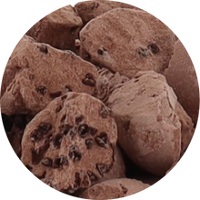 Load image into Gallery viewer, Freeze Dried Ice Cream That Does Not Melt (Bits) Chocolate Chocolate Chip