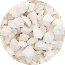 Load image into Gallery viewer, Freeze Dried Sorbet - Organic Coconut