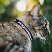 Load image into Gallery viewer, Cat Collar Breakaway - Flag Asexual Black Gray White Purple