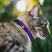 Load image into Gallery viewer, Cat Collar Breakaway - Flag Bisexual Pink Purple Blue