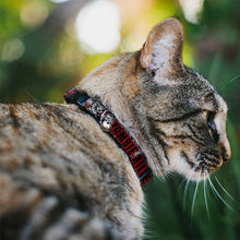 Load image into Gallery viewer, Cat Collar Breakaway - ZOMBIE KILLER w Stacked Zombies Sketch