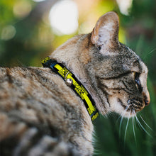 Load image into Gallery viewer, Cat Collar Breakaway - CAUTION BIOHAZARD Black Yellow