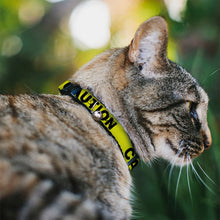 Load image into Gallery viewer, Cat Collar Breakaway - CAUTION Yellow Black