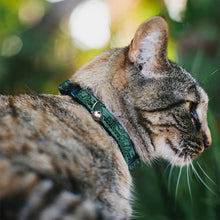 Load image into Gallery viewer, Cat Collar Breakaway - Cali License Plates Stacked