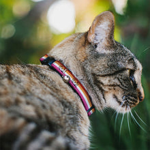 Load image into Gallery viewer, Cat Collar Breakaway - Flag Lesbian Five Stripe Oranges White Pinks