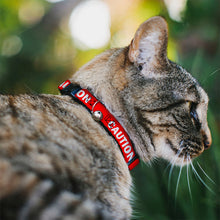 Load image into Gallery viewer, Cat Collar Breakaway - Pet Quote CAUTION Red White