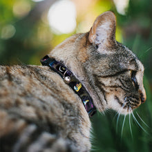 Load image into Gallery viewer, Cat Collar Breakaway - Alice &amp; the Cheshire Cat Scenes