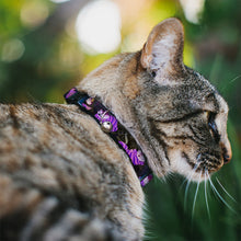 Load image into Gallery viewer, Cat Collar Breakaway - Cheshire Cat Tree Poses
