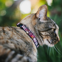 Load image into Gallery viewer, Cat Collar Breakaway - Transparent Cheshire Cat Poses WE'RE ALL MAD HERE