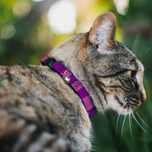 Load image into Gallery viewer, Cat Collar Breakaway - Cheshire Cat Stripe Pink Purple
