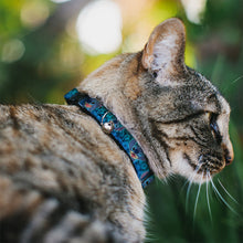 Load image into Gallery viewer, Cat Collar Breakaway - Stitch Expressions Hibiscus Collage Green-Blue Fade