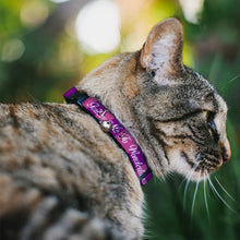 Load image into Gallery viewer, Cat Collar Breakaway - Cheshire Cat Stripe FOLLOW ME TO WONDERLAND Pink Purple White