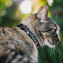 Load image into Gallery viewer, Cat Collar Breakaway - Alice Cheshire Cat Flowers Poses2 FOLLOW ME TO WONDERLAND Black Multi Color White