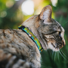 Load image into Gallery viewer, Cat Collar Breakaway - Scooby Doo THE MYSTERY MACHINE Paint Job Green Aqua Orange