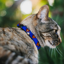 Load image into Gallery viewer, Cat Collar Breakaway - Superman Shield Blue