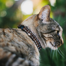Load image into Gallery viewer, Cat Collar Breakaway - Star Wars Chewbacca Bandolier Bounding Browns Gray