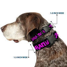 Load image into Gallery viewer, Plastic Clip Collar - DRAMA QUEEN Black/Fuchsia