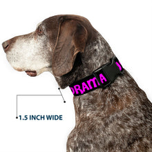 Load image into Gallery viewer, Plastic Clip Collar - DRAMA QUEEN Black/Fuchsia