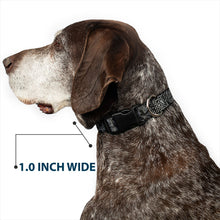 Load image into Gallery viewer, Plastic Clip Collar - BD Logo Scattered Black/Gray