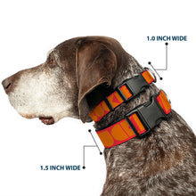 Load image into Gallery viewer, Plastic Clip Collar - BUCKLE-DOWN Shapes Red/Orange