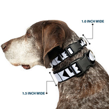 Load image into Gallery viewer, Plastic Clip Collar - BUCKLE-DOWN Shapes Black/White