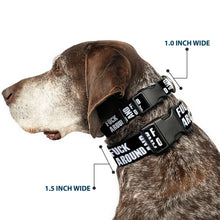 Load image into Gallery viewer, Plastic Clip Collar - FAFO FUCK AROUND AND FIND OUT Bold Black/White