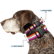 Load image into Gallery viewer, Plastic Clip Collar - Flag Lesbian Five Stripe Oranges/White/Pinks