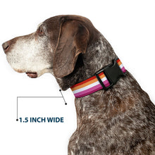 Load image into Gallery viewer, Plastic Clip Collar - Flag Lesbian Five Stripe Oranges/White/Pinks