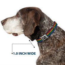 Load image into Gallery viewer, Dog Bone Seatbelt Buckle Collar - Checker Black/Neon Rainbow