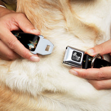 Load image into Gallery viewer, Dog Bone Seatbelt Buckle Collar - Flying Mallards Black