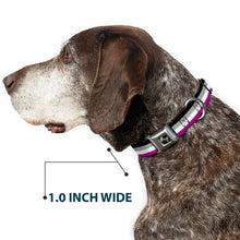 Load image into Gallery viewer, Dog Bone Seatbelt Buckle Collar - Flag Asexual Black/Gray/White/Purple