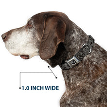 Load image into Gallery viewer, Dog Bone Seatbelt Buckle Collar - BD Logo Scattered Black/Gray