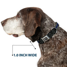 Load image into Gallery viewer, Dog Bone Black/Silver Seatbelt Buckle Collar - FAFO FUCK AROUND AND FIND OUT Thin Blue Line Flag