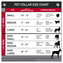 Load image into Gallery viewer, Dog Bone Seatbelt Buckle Collar - Cali License Plates Stacked