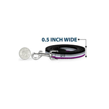 Load image into Gallery viewer, Dog Leash - Flag Asexual Black/Gray/White/Purple