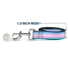 Load image into Gallery viewer, Dog Leash - Flag Transgender Baby Blue/Baby Pink/White