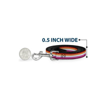 Load image into Gallery viewer, Dog Leash - Flag Lesbian Five Stripe Oranges/White/Pinks