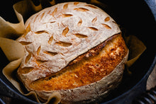 Load image into Gallery viewer, Otis | Sourdough Starter