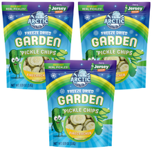 Load image into Gallery viewer, Freeze Dried Pickle Chips (Firecracker - Mild Hot) from Jersey Pickles