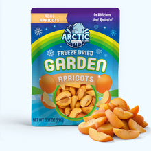 Load image into Gallery viewer, Freeze Dried Apricots
