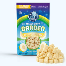 Load image into Gallery viewer, Freeze Dried Golden Honeydew Melon