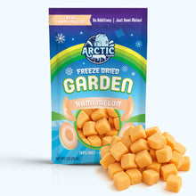 Load image into Gallery viewer, Freeze Dried Golden Hami Melon