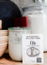 Load image into Gallery viewer, Otis | Sourdough Starter