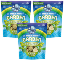 Load image into Gallery viewer, Freeze Dried Kosher Dill Pickle Jumbo Chips (Can be Salty)