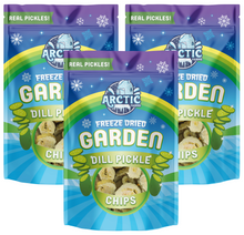 Load image into Gallery viewer, Freeze Dried Kosher Dill Pickle Jumbo Chips (Can be Salty)